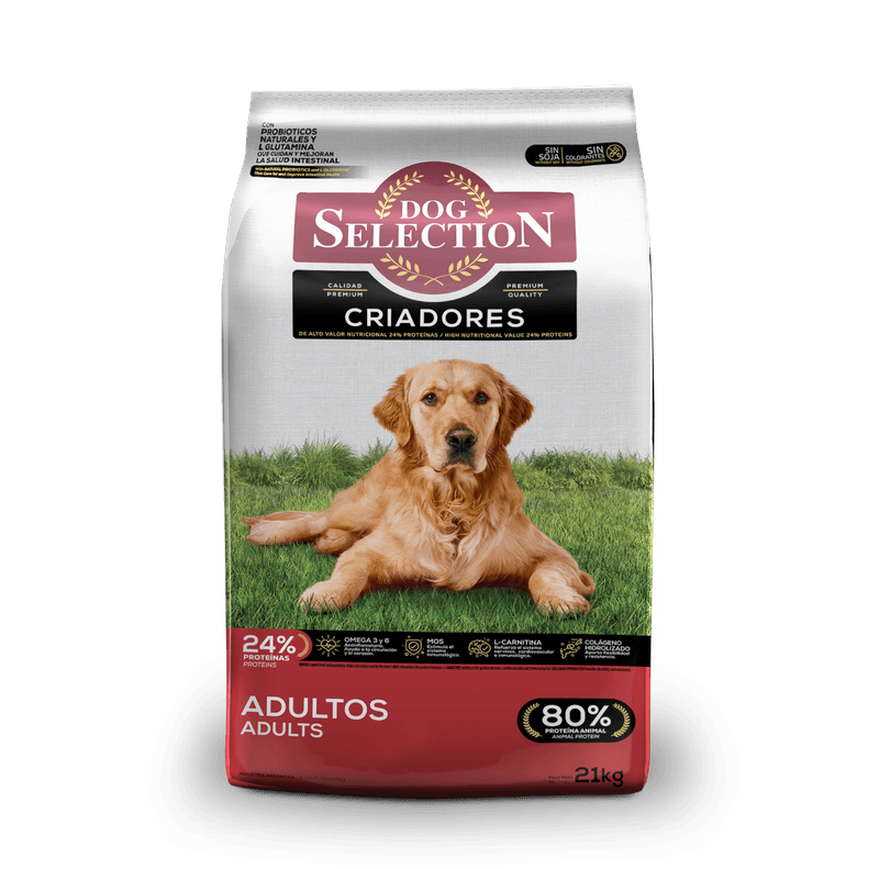 Royal Canin Maxi Adult